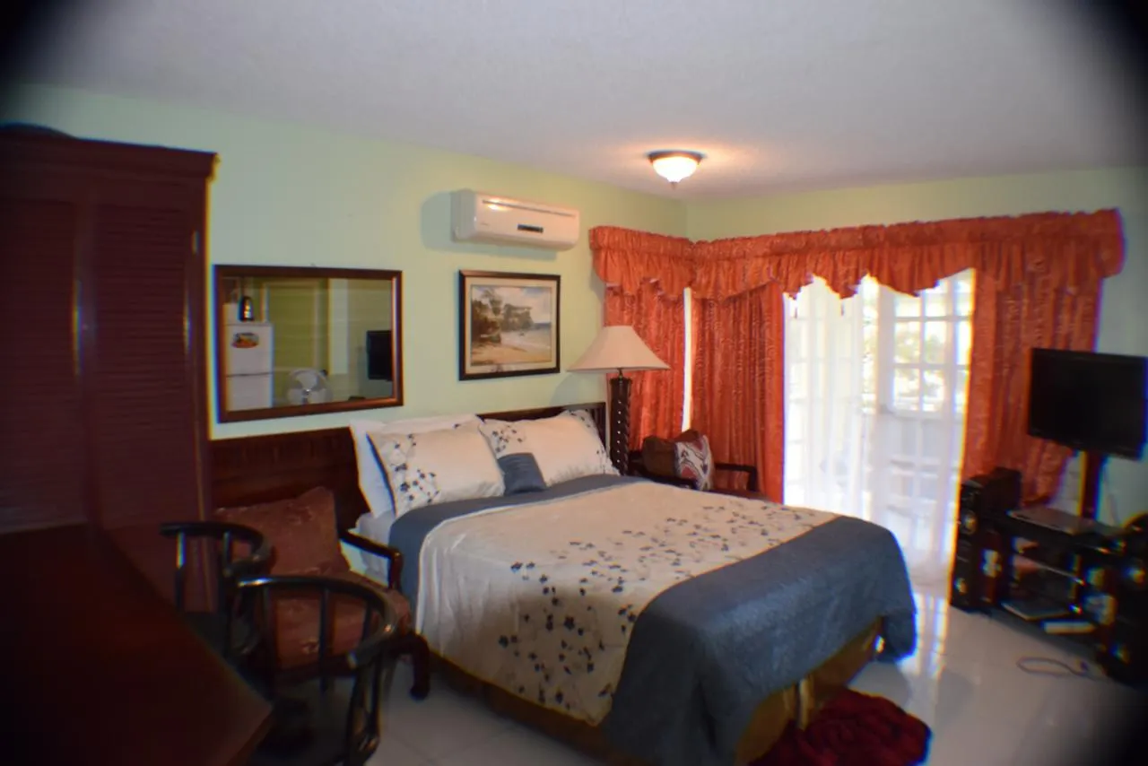 Mystic Ridge Studio Ocho Rios Apartmán
