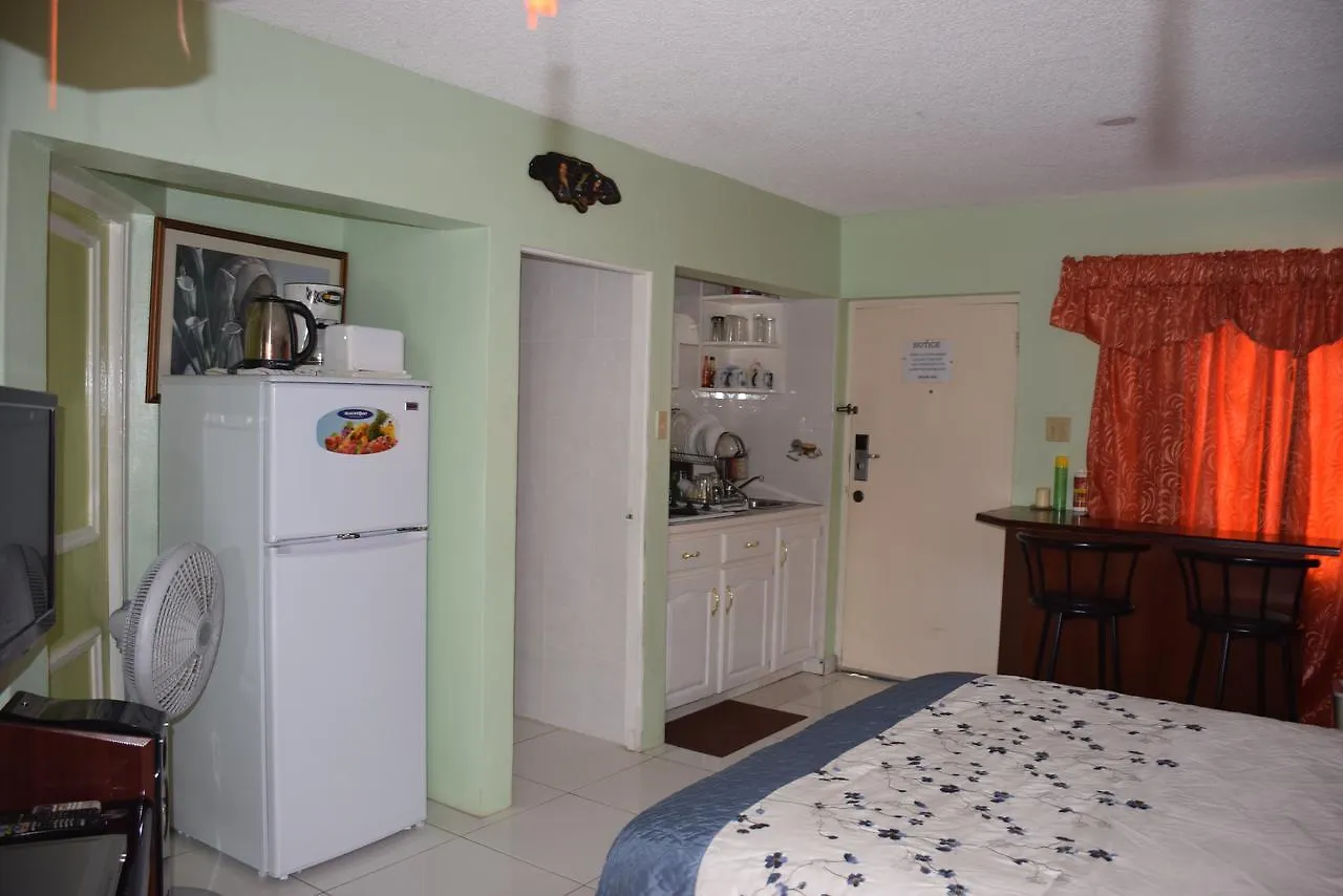 Apartmán Mystic Ridge Studio Ocho Rios