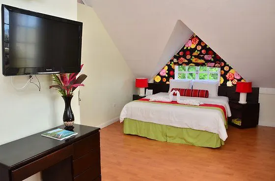 Mystic Ridge Studio Ocho Rios Jamajka